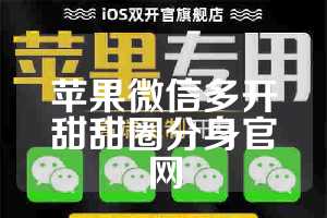 苹果微信多开甜甜圈分身官网