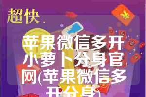 苹果微信多开小萝卜分身官网(苹果微信多开分身)