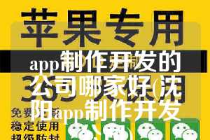 app制作开发的公司哪家好(沈阳app制作开发公司)