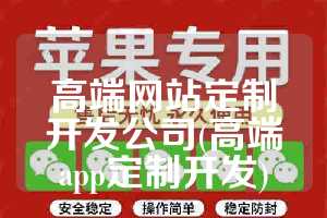 高端网站定制开发公司(高端app定制开发)