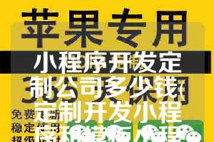 小程序开发定制公司多少钱(定制开发小程序和模板小程序)
