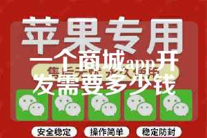 一个商城app开发需要多少钱