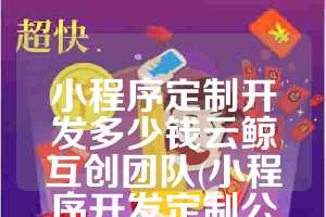 小程序定制开发多少钱云鲸互创团队(小程序开发定制公司多少钱)