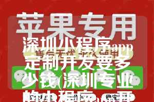 深圳小程序app定制开发要多少钱(深圳专业的小程序app开发)