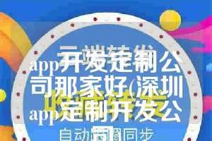 app开发定制公司那家好(深圳app定制开发公司)