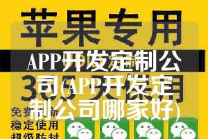 APP开发定制公司(APP开发定制公司哪家好)