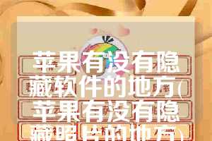 苹果有没有隐藏软件的地方(苹果有没有隐藏照片的地方)