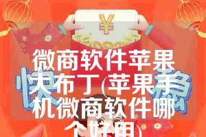 微商软件苹果大布丁(苹果手机微商软件哪个好用)