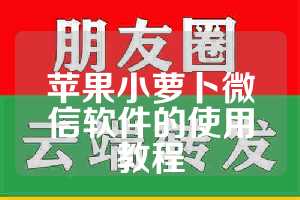 苹果小萝卜微信软件的使用教程