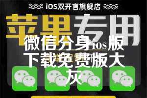 微信分身ios版下载免费版大灰