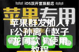 苹果群发加人TF公孙离（赵子龙同款）使用教程