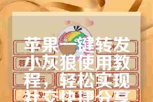 苹果一键转发小灰狼使用教程，轻松实现社交快捷分享