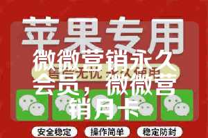 微微营销永久会员，微微营销月卡