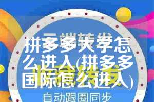 拼多多大学怎么进入(拼多多国际怎么进入)