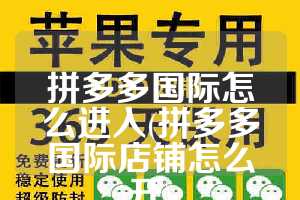 拼多多国际怎么进入(拼多多国际店铺怎么开)