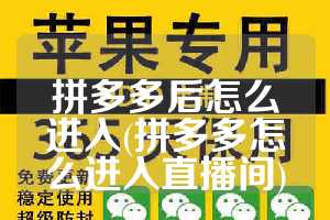 拼多多后怎么进入(拼多多怎么进入直播间)