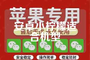 安卓小柠檬适合机型