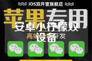 安卓小柠檬双设备