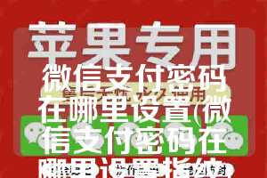 微信支付密码在哪里设置(微信支付密码在哪里设置指纹)