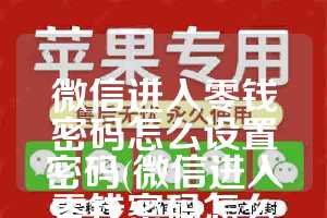 微信进入零钱密码怎么设置密码(微信进入零钱密码怎么设置密码苹果手机)