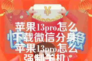 苹果13pro怎么下载微信分身(苹果13pro怎么强制关机)