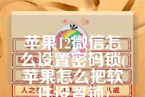 苹果12微信怎么设置密码锁(苹果怎么把软件设置锁)