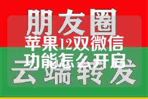 苹果12双微信功能怎么开启