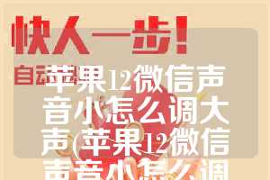 苹果12微信声音小怎么调大声(苹果12微信声音小怎么调大声正常灯头直径多少)