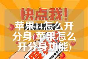 苹果14怎么开分身(苹果怎么开分身功能)