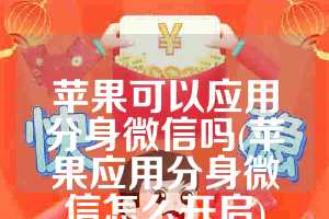 苹果可以应用分身微信吗(苹果应用分身微信怎么开启)
