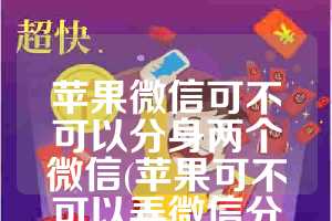 苹果微信可不可以分身两个微信(苹果可不可以弄微信分身)