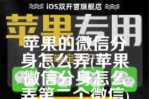 苹果的微信分身怎么弄(苹果微信分身怎么弄第二个微信)