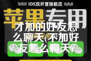 才加的好友怎么聊天(不加好友怎么聊天)
