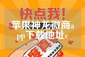 苹果神龙微商app下载地址c