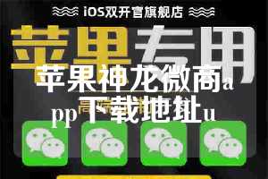 苹果神龙微商app下载地址u