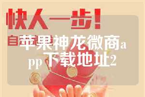 苹果神龙微商app下载地址2