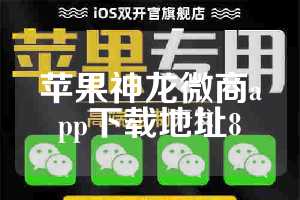 苹果神龙微商app下载地址8