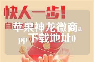 苹果神龙微商app下载地址0