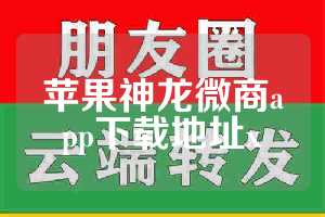 苹果神龙微商app下载地址x