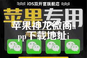 苹果神龙微商app下载地址i