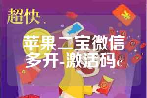 苹果二宝微信多开-激活码c