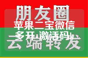 苹果二宝微信多开-激活码k