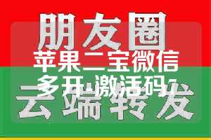 苹果二宝微信多开-激活码7
