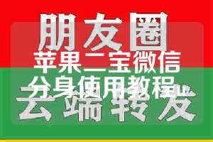 苹果二宝微信分身使用教程u