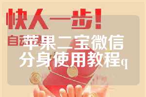 苹果二宝微信分身使用教程q