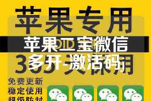 苹果二宝微信多开-激活码j