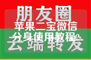 苹果二宝微信分身使用教程2