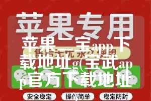 苹果二宝app下载地址g(宝武app官方下载地址)