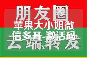 苹果大小姐微信多开-激活码x