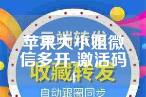 苹果大小姐微信多开-激活码4